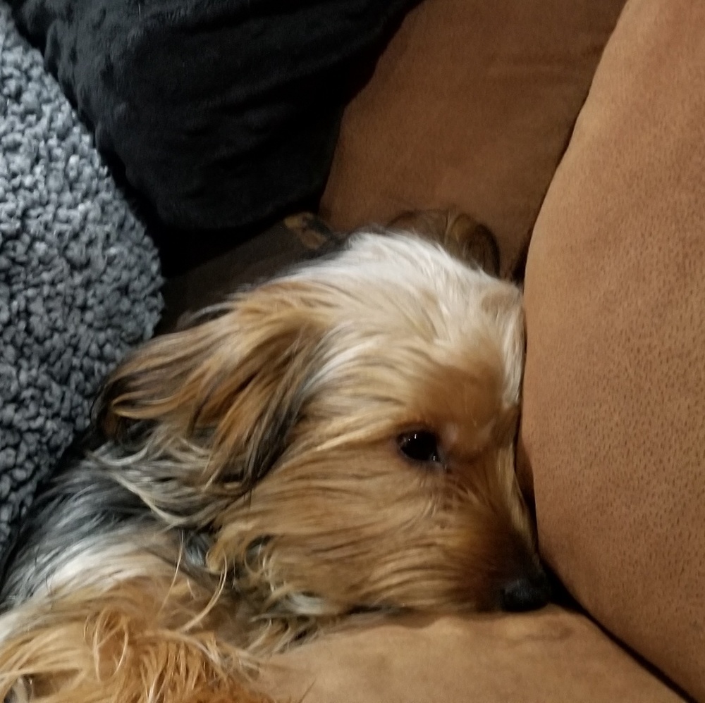 Meet your Posher, Matthew